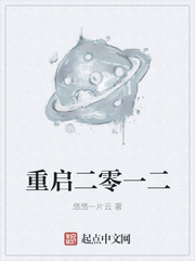阿瑞斯集团