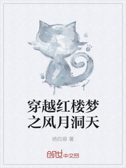 穿越红楼梦