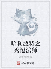 哈利波特之秀逗法师