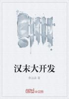 汉末大开发